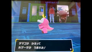 【ポケモンSV】ラブボメラルバ、ラブボ夢セビエ15匹ずつ配布【どちらも5v以上】
