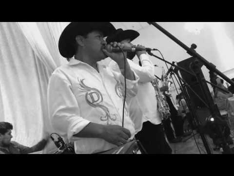 Tereso Reverte - Banda Dorado Show