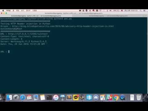 HTTP Header Injection testing