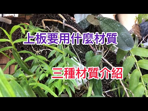 , title : '上板蘭花的三種材質！要用什麼材料上板呢'