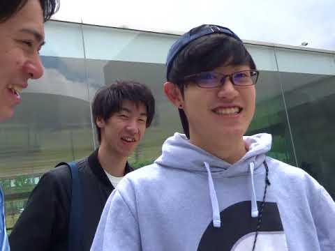 piscine-originale-cascade-terrasse-dalles-palmiers-géants