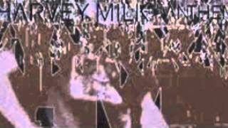 Harvey Milk, The old revolution