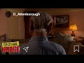 The Best Of David Attenborough Spitting Image