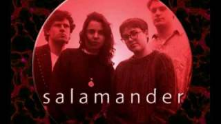 Salamander - Sun Rain (featuring Rachel & Petra Haden of That Dog)  *Audio*