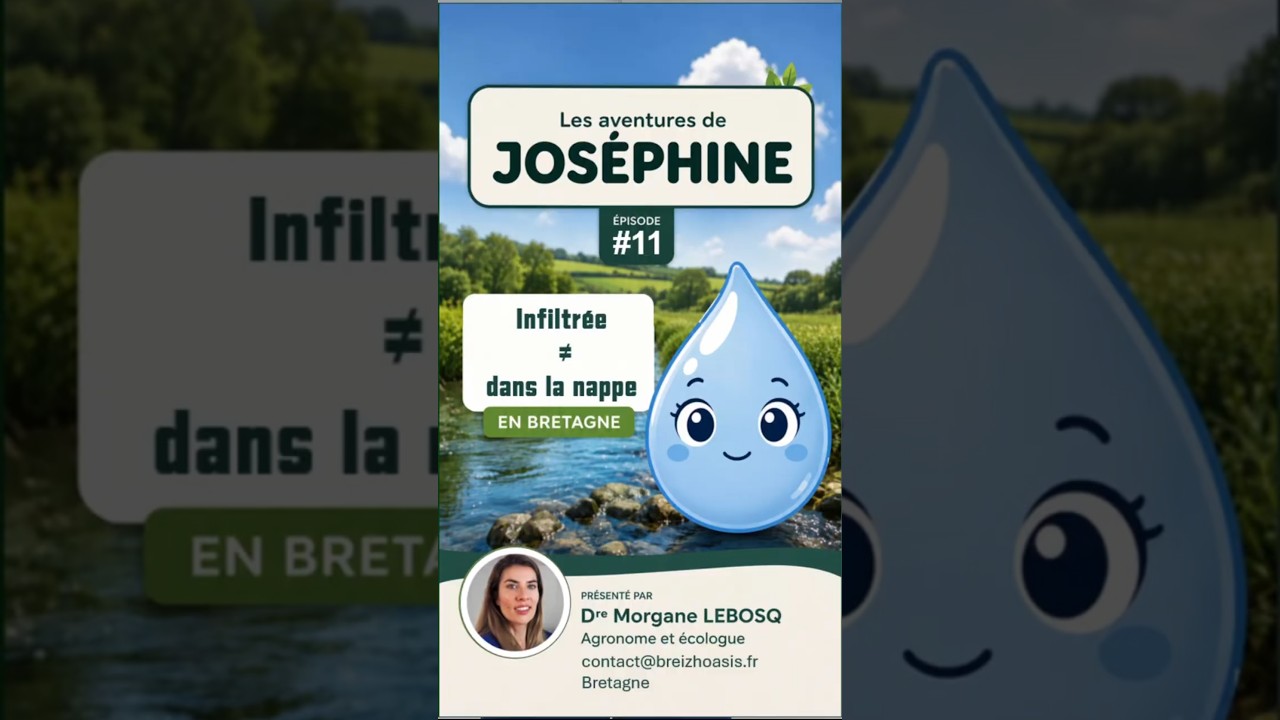 Miniature de l’épisode 11