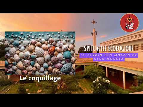 Spiritualité écologique ! Le jardin des moines de Keur Moussa : Le coquillage