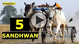 (1) Sandhwan (Nawanshahr) Ox Race 17 May 2015