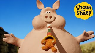 Download lagu Shaun the Sheep 🐑 BIG PIG! - Cartoons for Kids 🐑 Full Episodes Compilation [1 hour] mp3