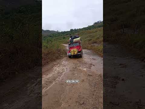 ¿Todavía existen campesinos que llevan su café al pueblo en una Toyota Land Cruiser? Rovira, Tolima