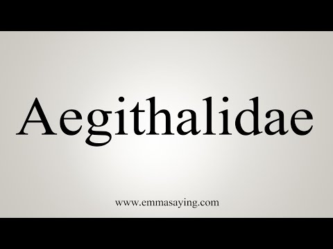How To Say Aegithalidae