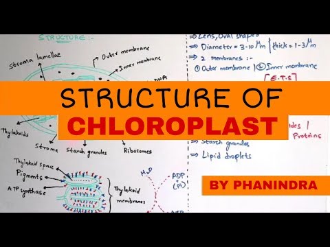 GLYCOLYSIS OR EMP PATHWAY BY PHANINDRA GUPTHA