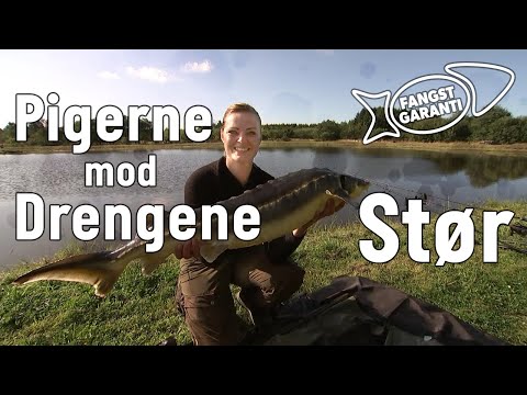 PIGERNE MOD DRENGENE – STØR // FANGSTGARANTI