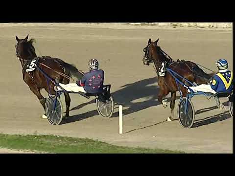 Napoli Trotto 08/01/2023 - 5ª corsa