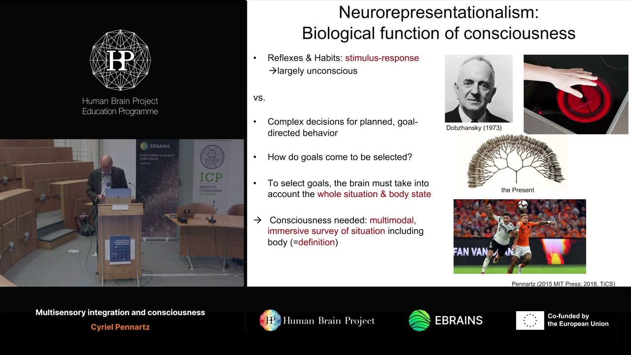 Cyriel Pennartz - Multisensory integration and consciousness