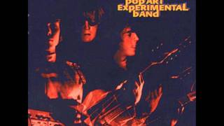 The West Coast Pop Art Experimental Band - Sassafras