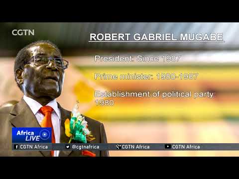 President Robert Mugabe profile
