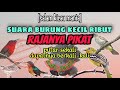 Pikat Burung Mp3 Suara Pikat Semua Jenis Burung Kecil Paling Ampuh Burcil Ribut
