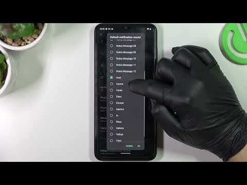 Nokia G60 - Notification Tones Presentation / Change Your Alert Tone by Default Sounds!