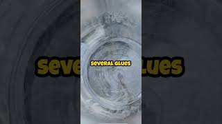 Download lagu Why glue do not stick to its own container ?  #education #trending #viral  #curiosity mp3