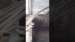 Download lagu Tukang Kuli Bangunan mp3 Download lagu Tukang Kuli Bangunan mp3