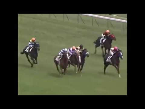 Tokyo Yushun(Japanese Derby) 2017 -  Deep Sky