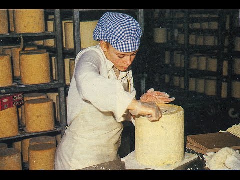 Reece's Creamery at Malpas - Cheshire Cheese Production