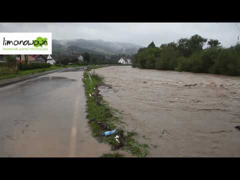 Rzeka Łososina w Limanowej