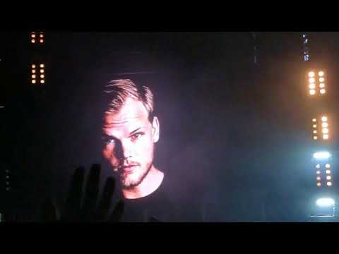 Creamfields 2018 Sunday Highlights - Alesso, Tchami x Malaa, Jauz & More