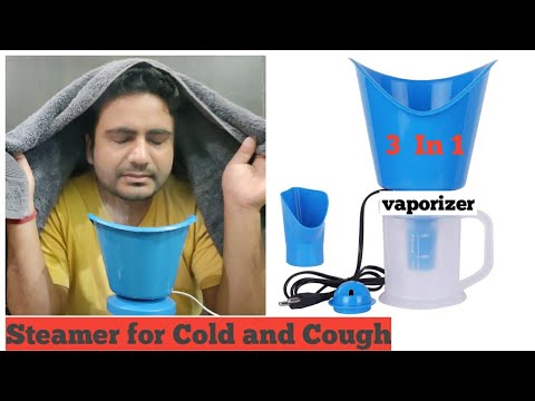 1n premium steam vaporizer