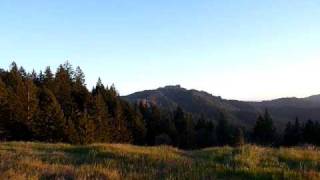 preview picture of video 'Mendocino County Summit - hwy 20, between Fort Bragg and Willits'