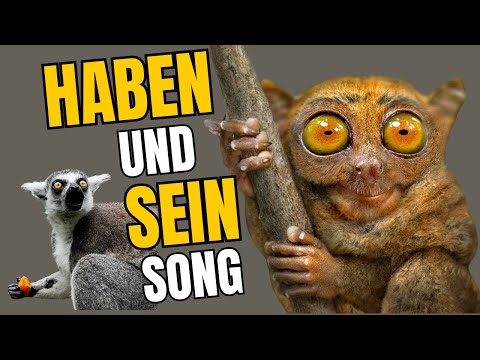 Konjugation Verben HABEN und SEIN | Song mit Text zum Mitsingen | German Verb Conjugation Song