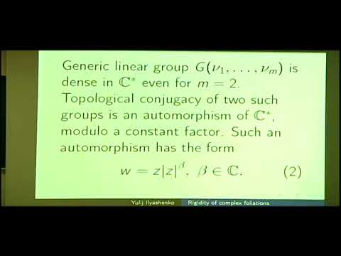 Rigidity propierties of complex planar polynomial foliations - Ilyashenko, Yulij
