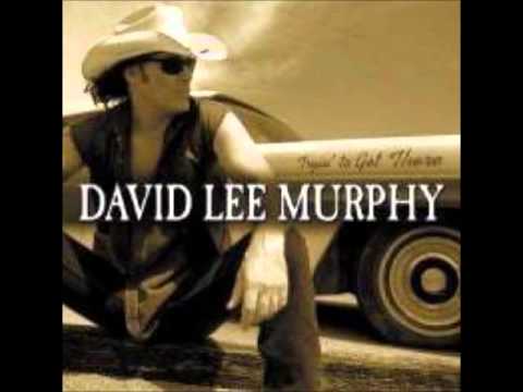Party Crowed - David Lee Murphy