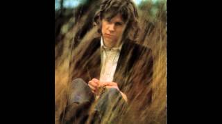 Nick Drake  Day Is Done - very rare .