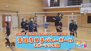 勝ちたいときは声を出せ「菩提寺女子バレーボールスポーツ少年団」湖南市　菩提寺小学校ほか