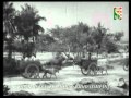 Ee Desha Chenna Kaveri 1975 Kannada
