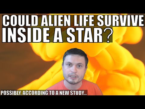 Could Exotic Life Exist Inside a Star? This Paper Suggests So