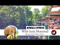 Wild Asia Monorail Bronx Zoo NYC New York 2022 Zoo BronxZoo