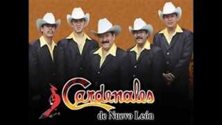 Mia - Los cardenales de Nuevo Leon CON LETRA/LYRICS EN LA DESCRIPCIÓN (HQ)