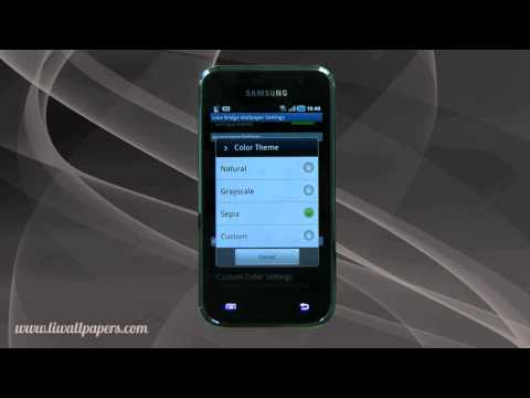 Lake Bridge Wallpaper Video