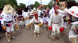 preview picture of video 'San Miguel Zapotitlan, Semana Santa judios 2014 Viernes Santo 9/16 Las Higueras de los Natoches...'