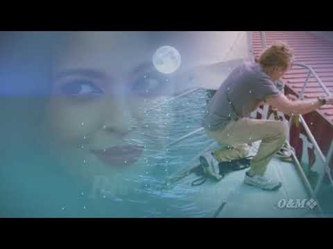 Erasure - Blue Savannah ( Tradução )