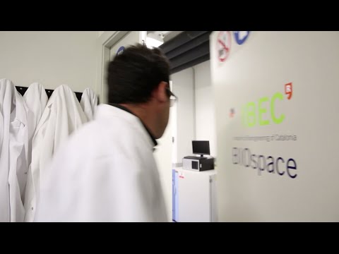 [IBEC] 3D Bioprinting: a step closer to bespoke body parts