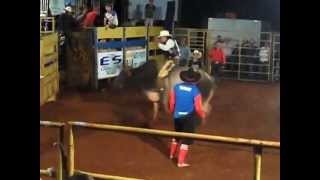 preview picture of video 'Alessandro Douglas (doguinha) Montando no 2º Rodeio Herança Campeira 2013'