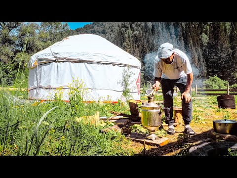 Skógarlíf kasakskra býflugnabænda í Altai-fjöllum
