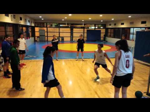 Rondó dofins team - FSA - LF2