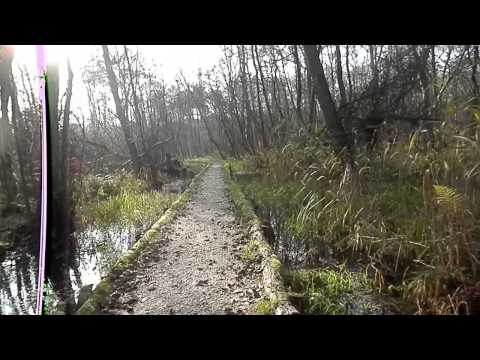 MongoTV_153 - Del 1 - Gåtur - Gangsti Til Mølleåen