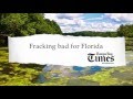 Rep. Keith Perry on Florida’s Water: “It’s Not a Crisis”