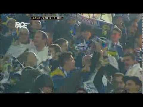 Litvanija - Bosna 0 : 1   Ibisevic goal
