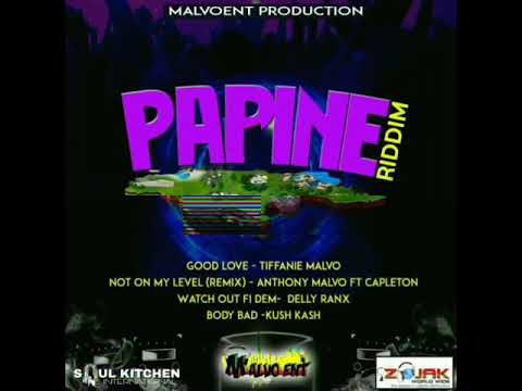 Anthony Malvo ft. Capleton - NOT ON MY LEVEL remix